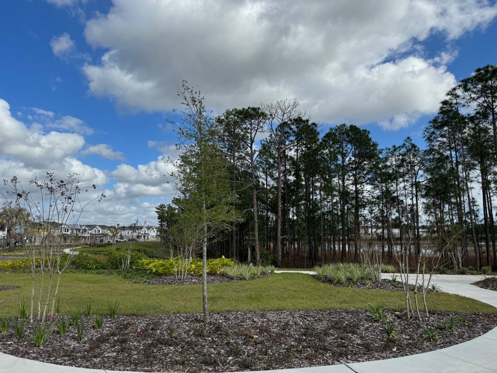 Harvest at Ovation Play Area. Harvest at Ovation - Townhomes New Homes in Winter Garden, FL